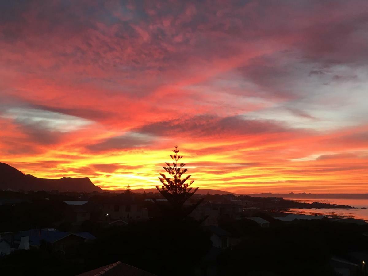 White Shark Guest House Gansbaai Exterior photo